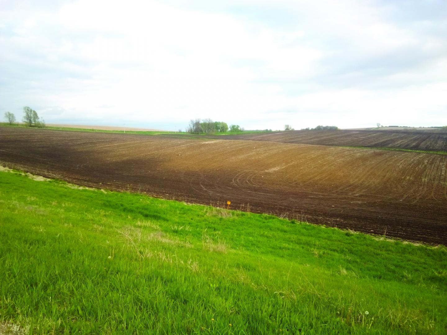 A hilltop completely denuded of A-horizon soil in a field near Guthrie Center, IA.