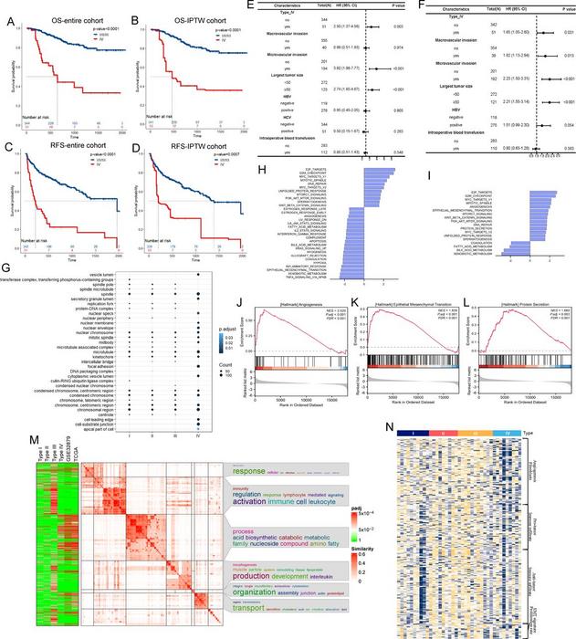 Type IV as an independent prognostic risk factor for HCC with particular transcriptional characteristics.