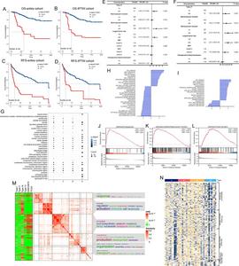 Type IV as an independent prognostic risk factor for HCC with particular transcriptional characteristics.