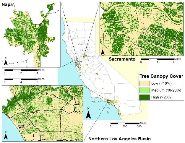 California Canopy Cover Graphic