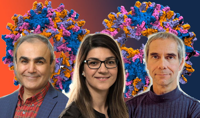 Tajkhorshid, Ghaemi, and Gruebele