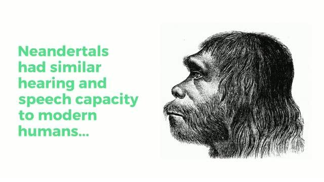 Neandertals had the capacity to perceive and produce human speech