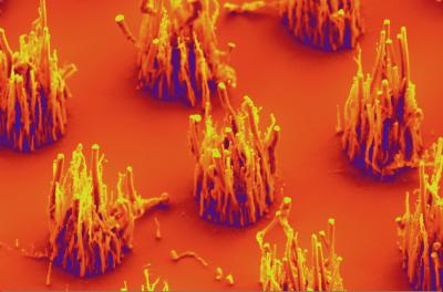 Carbon Nanofibers Grown Using Ambient Air