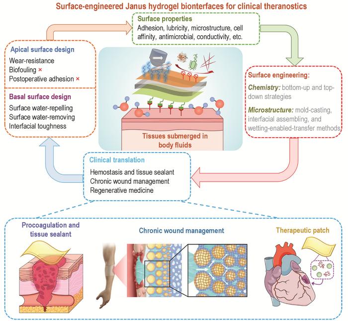 Surface-engineered Janus hydrogel biointerfaces for clinical theranostic