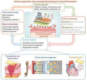 Surface-engineered Janus hydrogel biointerfaces for clinical theranostic