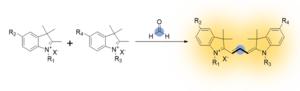 Cy3 synthesis process using formaldehyde