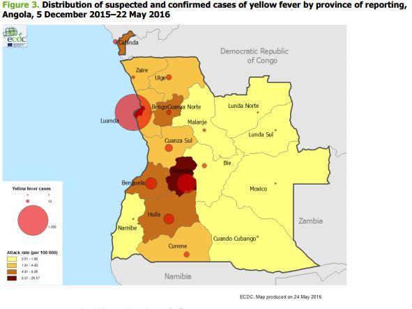 Suspected and Confirmed Cases of Yellow Fever