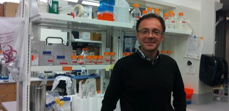 Alessandro Vindigni, Saint Louis University