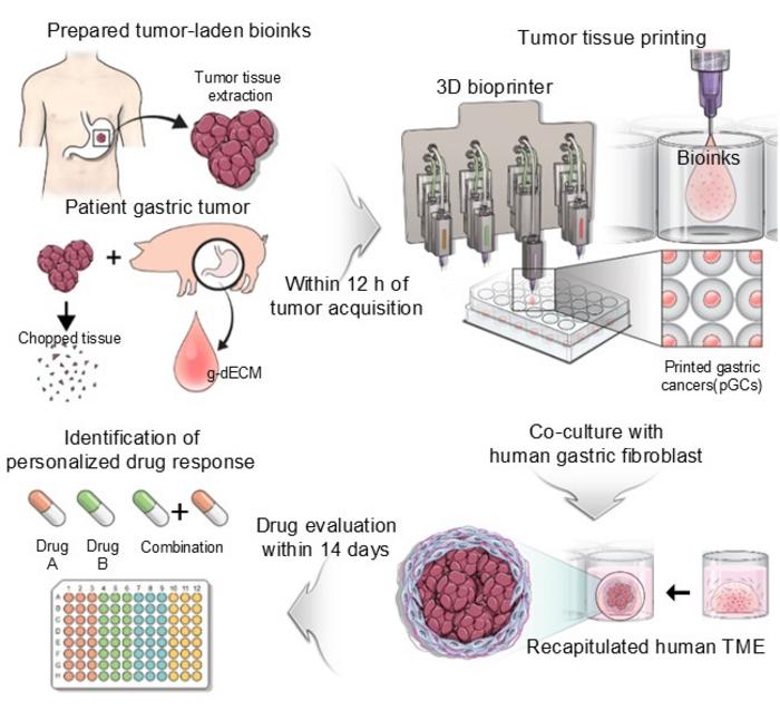 Recreating the Tumor Microenvironment with Bioprinting Technology for Personalized Drug Response Identification and Prediction