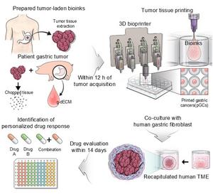 Recreating the Tumor Microenvironment with Bioprinting Technology for Personalized Drug Response Identification and Prediction