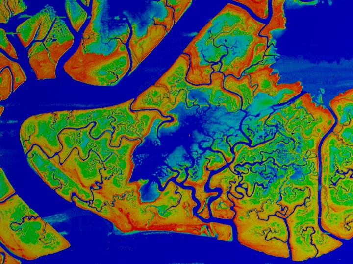 Marsh Elevations