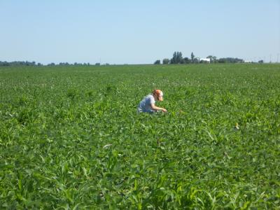 Kelly VanBeek in the Field