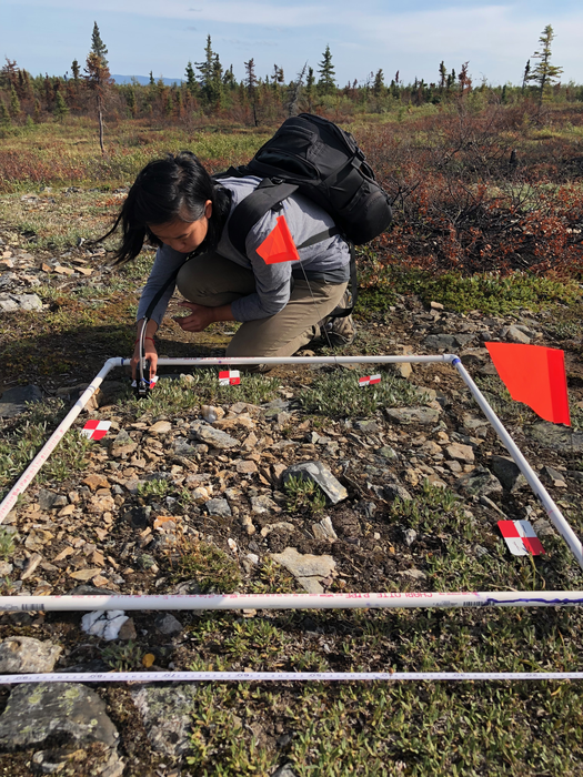 Catherine in the field