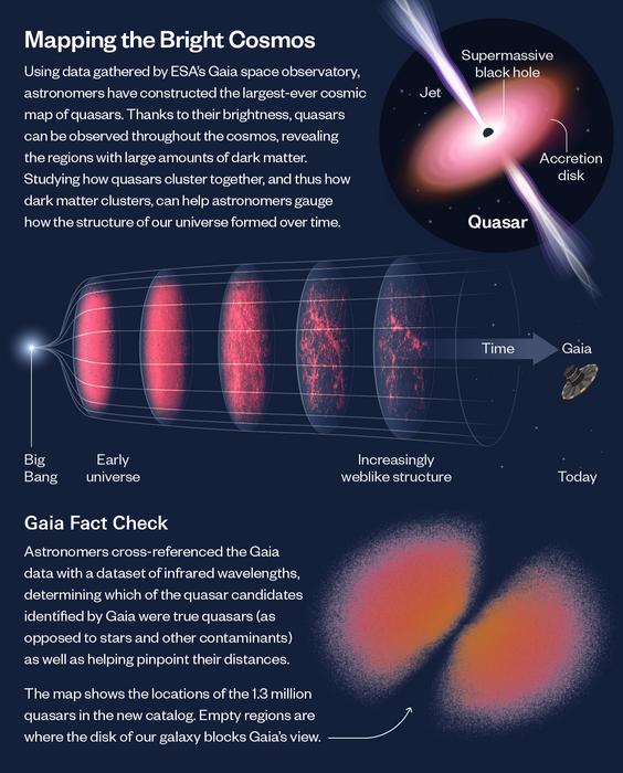 Infographic (Static)