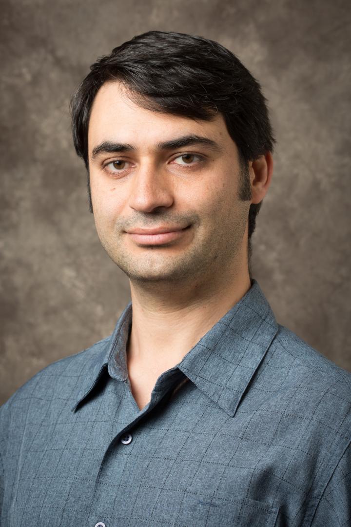 Mahmoud Moradi, University of Arkansas