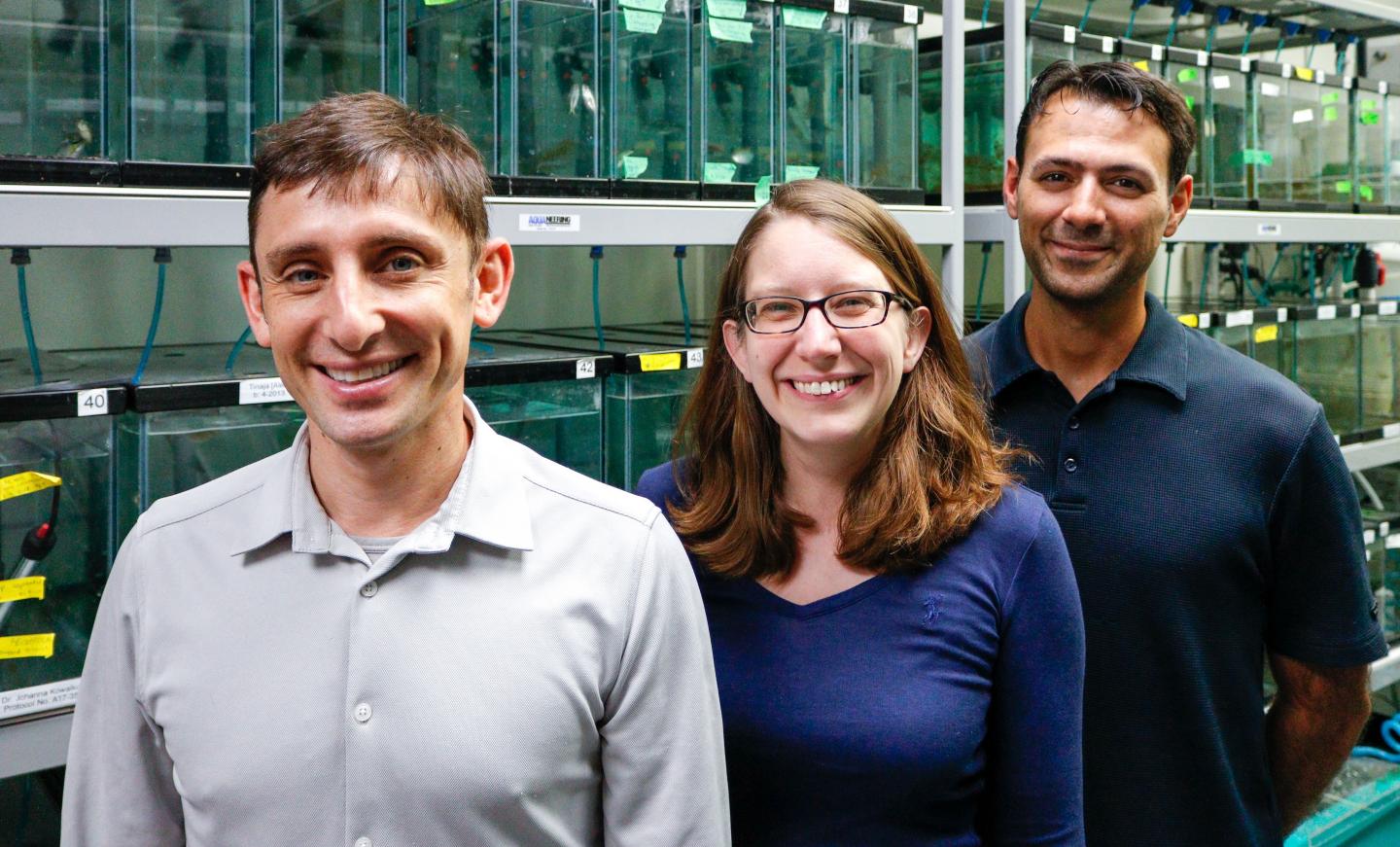 Blind Mexican Cavefish 'Dream Team'