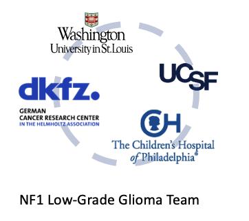 NF1 Low Grade Glioma Team