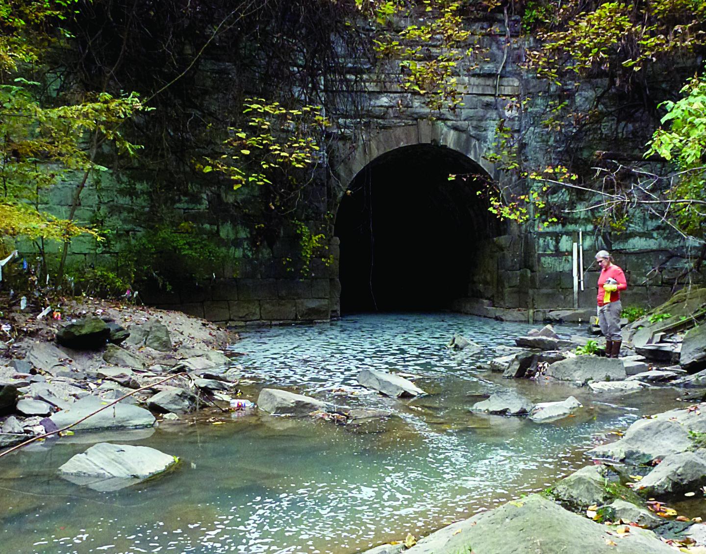 Emma Rosi Sampling in a Baltimore Stream