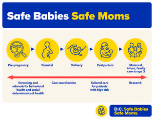 Safe Babies Safe Moms care delivery model