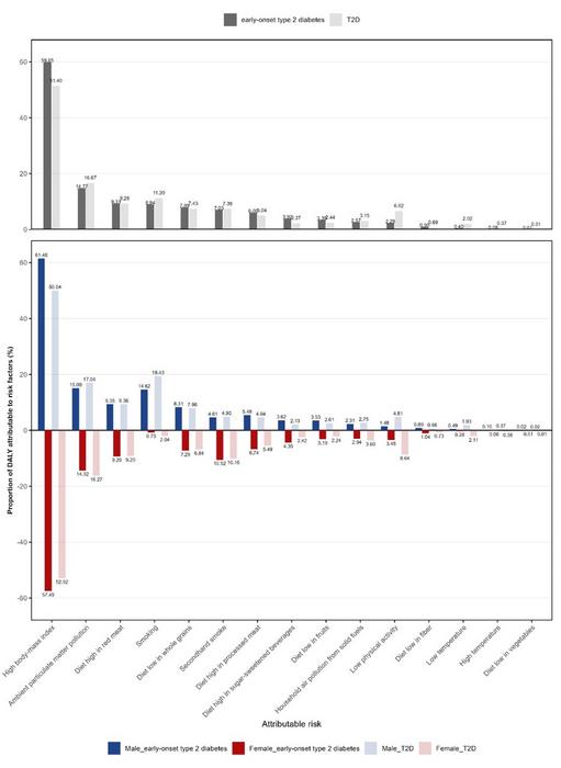 Proportion of attributable risk factors of early-onset T2D and T2D DALYs in China in 2021.