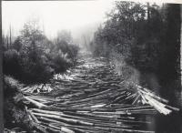 Teanaway Logs