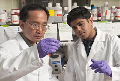 Jeff Wang and Vasudev Bailey, Johns Hopkins University