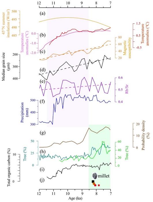 Comparison of the YM section records with various other regional and global environmental signals