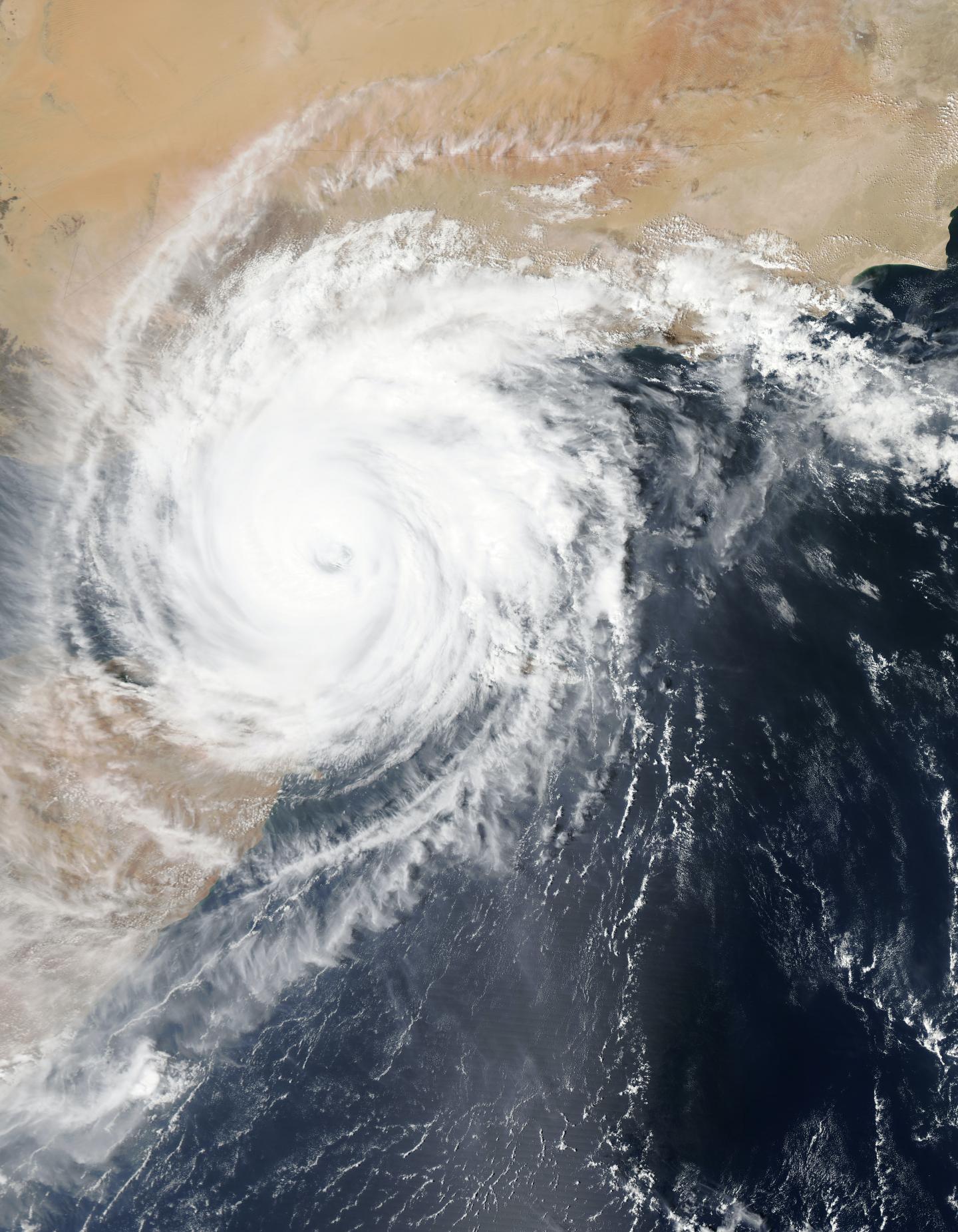Typhoons in Korea amplified wildfires in America