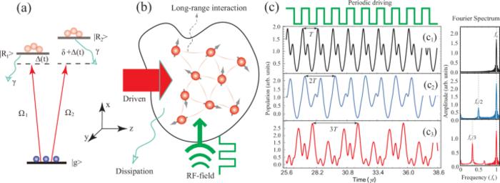 Higher-order and fractional discrete time crystals in Floquet-driven Rydberg atoms