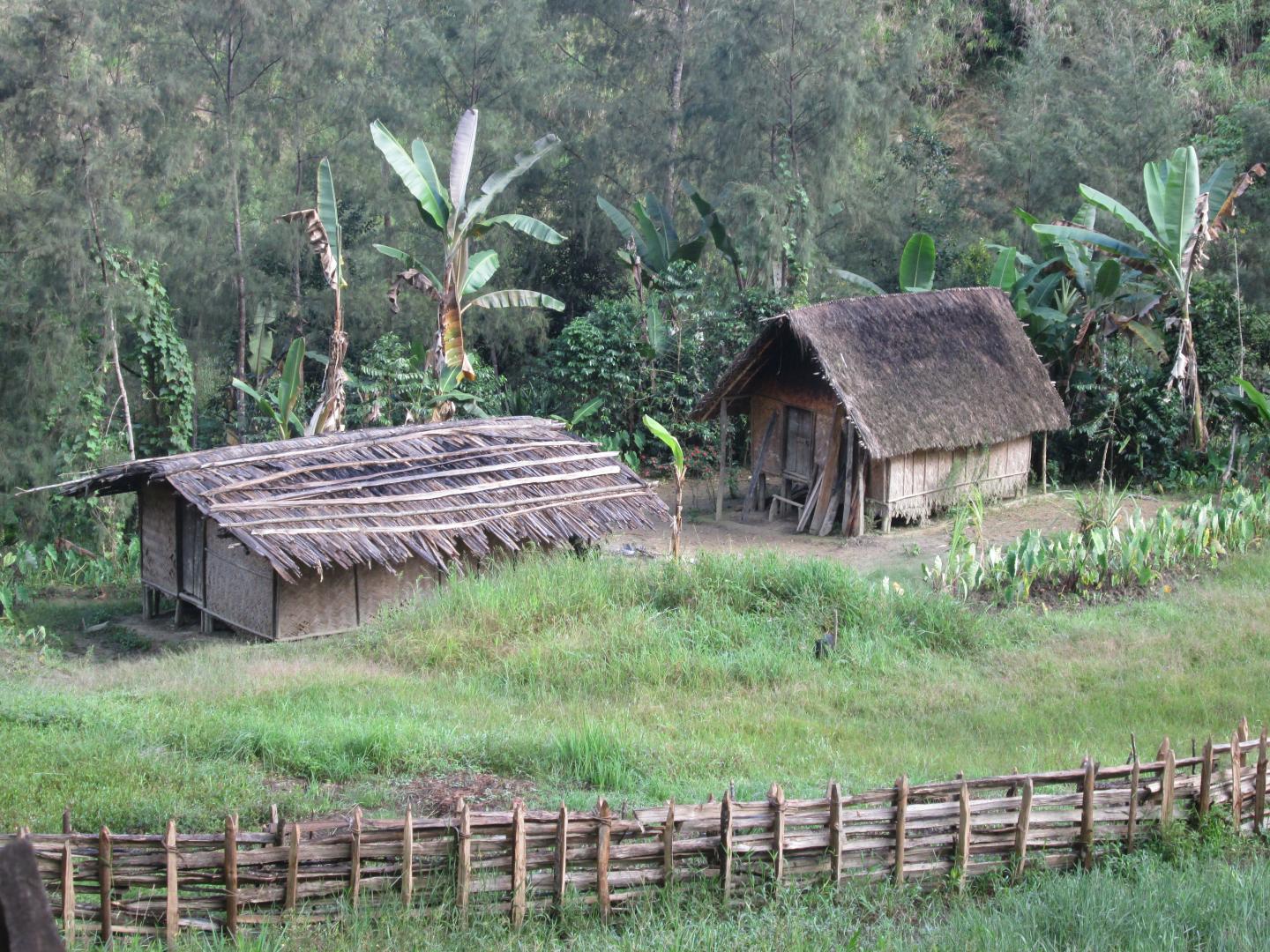 Field Accommodations