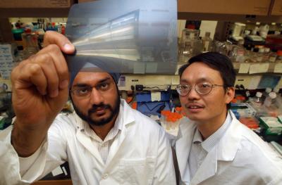 Drs. Navjotsingh Pabla (left) and Zheng Dong, Georgia Health Sciences University