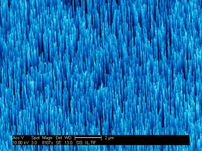 P-type ZnO Nanowires