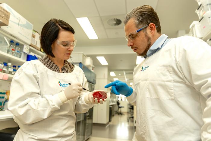 Dr Neville and Prof McDevitt observing bacterial cultures in a petri dish at the Doherty Institute