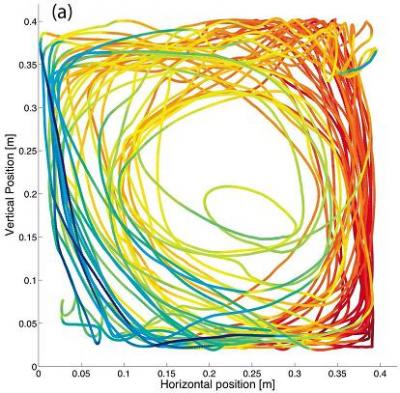 Smart Particle Path