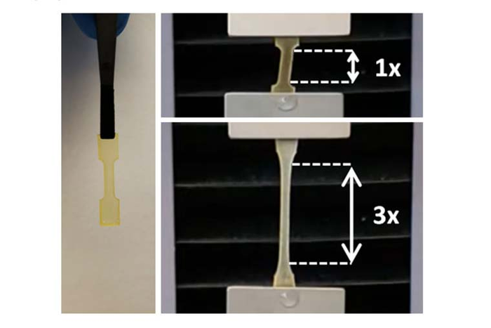 Mussel foot protein hydrogel