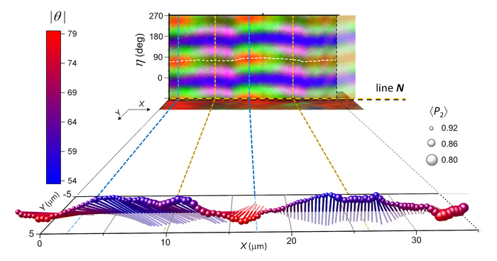 3D Molecular Orientation