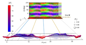 3D Molecular Orientation