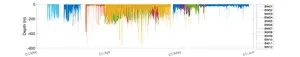 Depth records from tagged bowhead whales