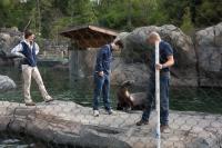 Studying Sea Lions to Build a Robotic Foreflipper That Can Go Undetected