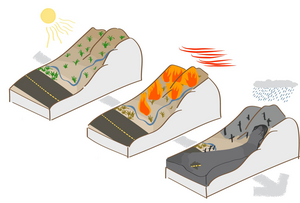 Stages of debris flow