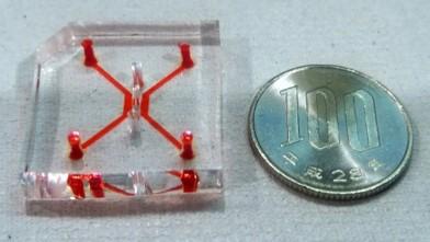 Chip Next to a 100 Yen Coin