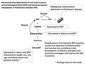 Study reveals impaired energy recycling in Parkinson’s disease