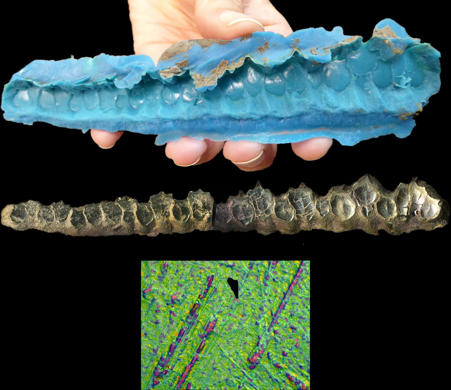 Mold Coated Cast with Gold Coated Replica