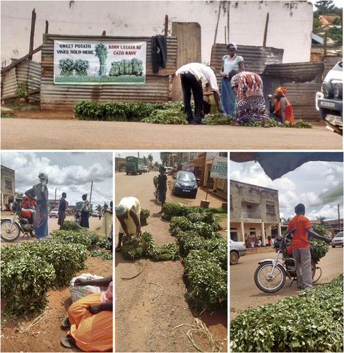 Sweet Potato Sellers in the Gulu Region