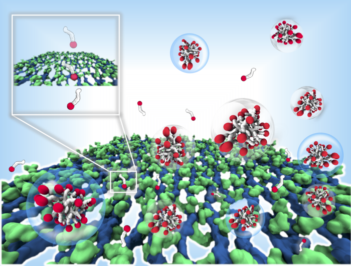 Schematic illustration of surfactant molecules