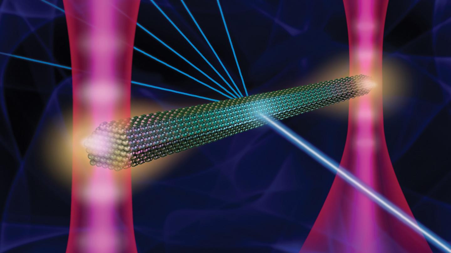 PNAS Cover: Optical-Tweezers