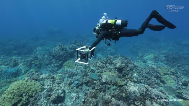 Scripps Scientists Use 3-D Photomosaic Technology to Study Coral Reefs