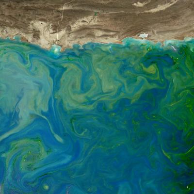 <i>Noctiluca</i> from Space