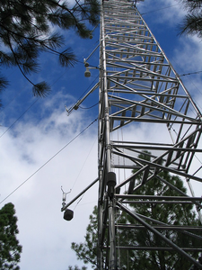 Oregon flux tower, Metolius