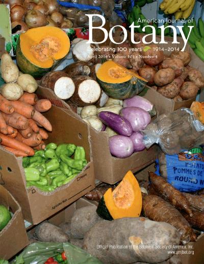 The April issue cover of the <i>American Journal of Botany</i>